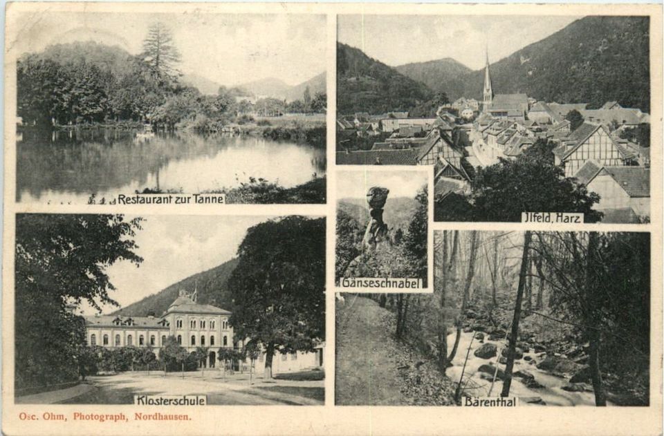 Erschlossenes Baugrundstück mit ruhigem Garten, Blick auf Südharz in idyllischem Erholungsort in Harztor Ilfeld