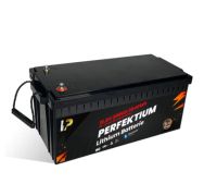 Perfektion LiFePO4 12.8V 300Ah mit BMS Bluetooth //PB-12,8V-300Ah Sachsen - Eilenburg Vorschau