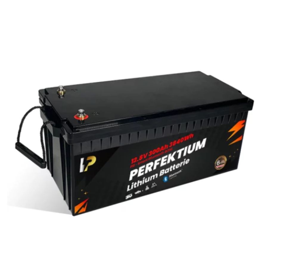 Perfektion LiFePO4 12.8V 300Ah mit BMS Bluetooth //PB-12,8V-300Ah in Eilenburg