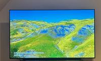LG OLED65CX9LA 65 Zoll 4K OLED Smart TV Baden-Württemberg - Titisee-Neustadt Vorschau