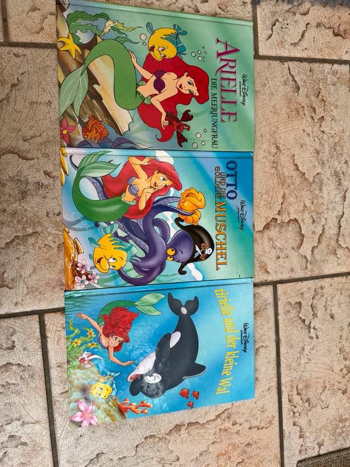 Diverse Disney Bücher in Lütjensee
