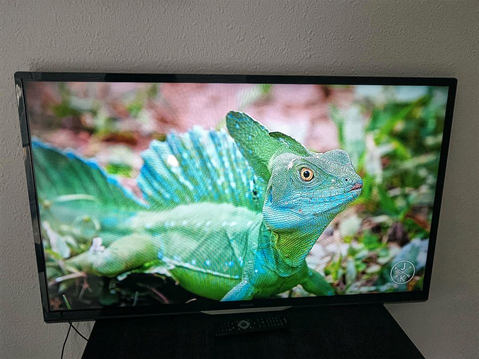 Philips Smart TV ❤️ 46Zoll in Magdeburg