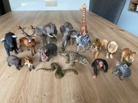16 SCHLEICH Tierfiguren - Waldtiere - Wilde Tiere Dresden - Pieschen Vorschau