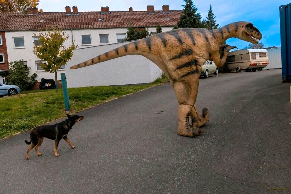 Dino Kostüm für Event Firmenfeiern Kindergeburtstag Stadtfeste in Dortmund