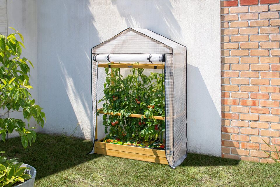 Neu & OVP - Outlet Angebot - VegTrug Tomaten-Foliengewächshaus in Backnang