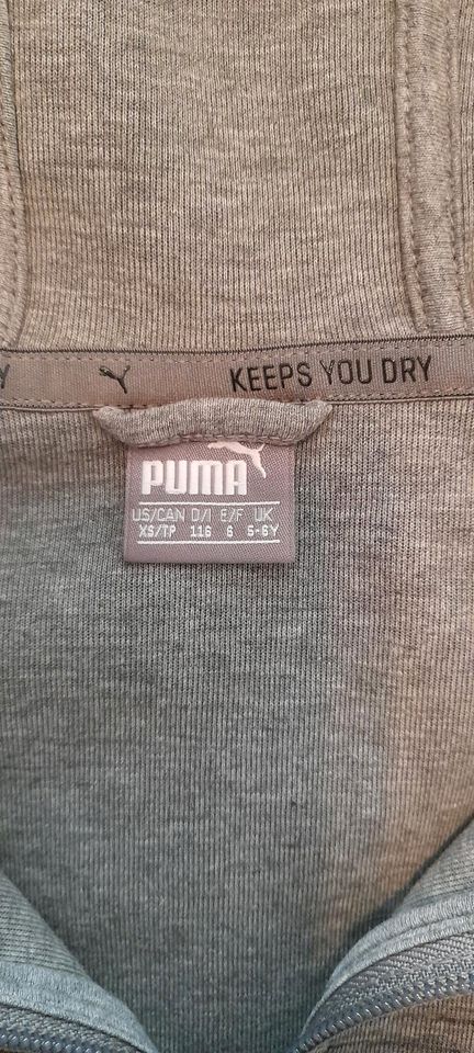 Jacke von Puma..Gr 116.. 5- 6 Jahre ..❤️ in Osnabrück