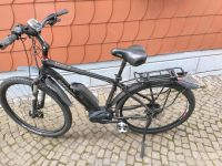 Elektrofahrrad MORRISON Bosch e Bike 7.0 MTB 29 Zoll Nordrhein-Westfalen - Werther (Westfalen) Vorschau