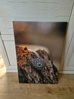 Leinwand Foto Motiv Herz 40x60cm Wandbild Schleswig-Holstein - Norderstedt Vorschau