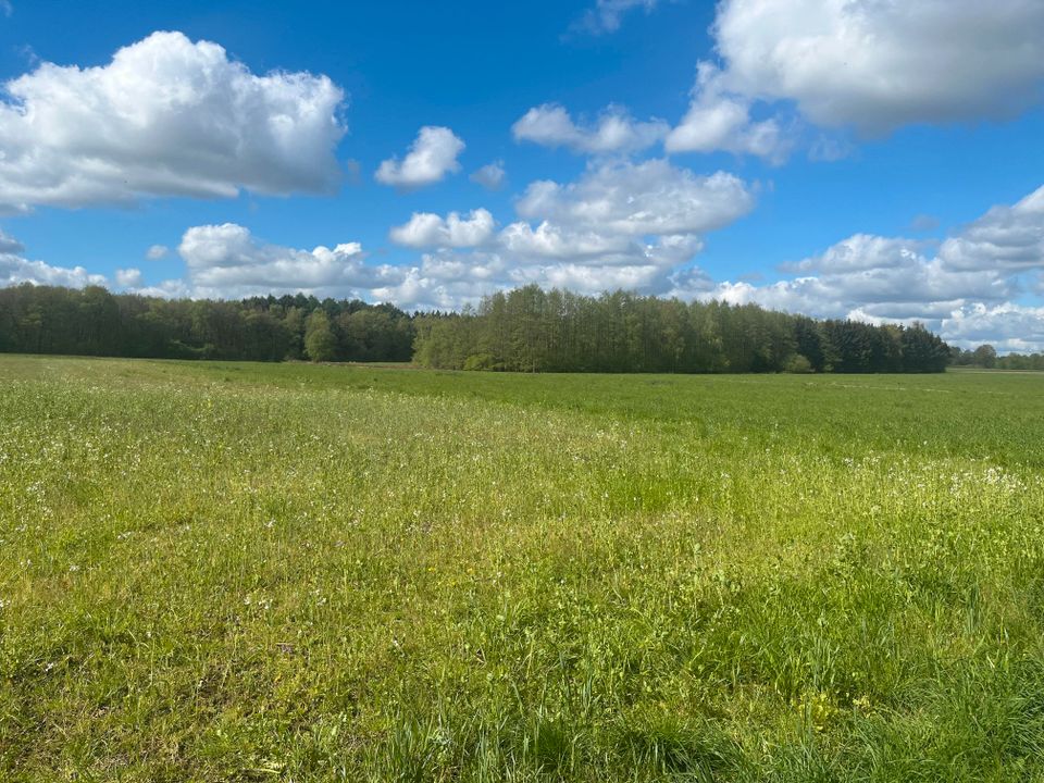 Ackerland und Grünland in Lindern zu verkaufen in Lindern (Oldenburg)