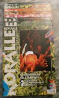 8x Magazin Koralle Meerwasseraquarium Niedersachsen - Braunschweig Vorschau