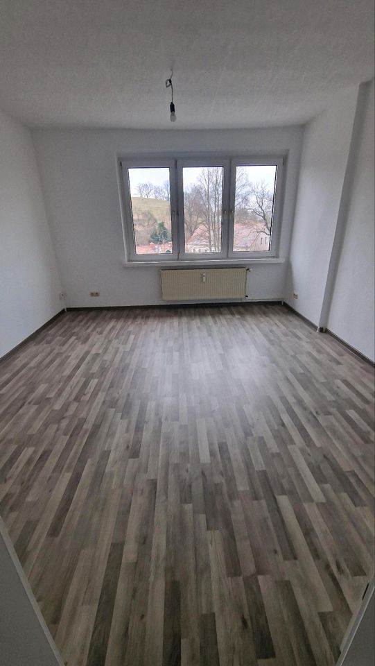 *Ab sofort* Sanierte 3-Raum Wohnung mit Küche Zwickau Mosel in Zwickau