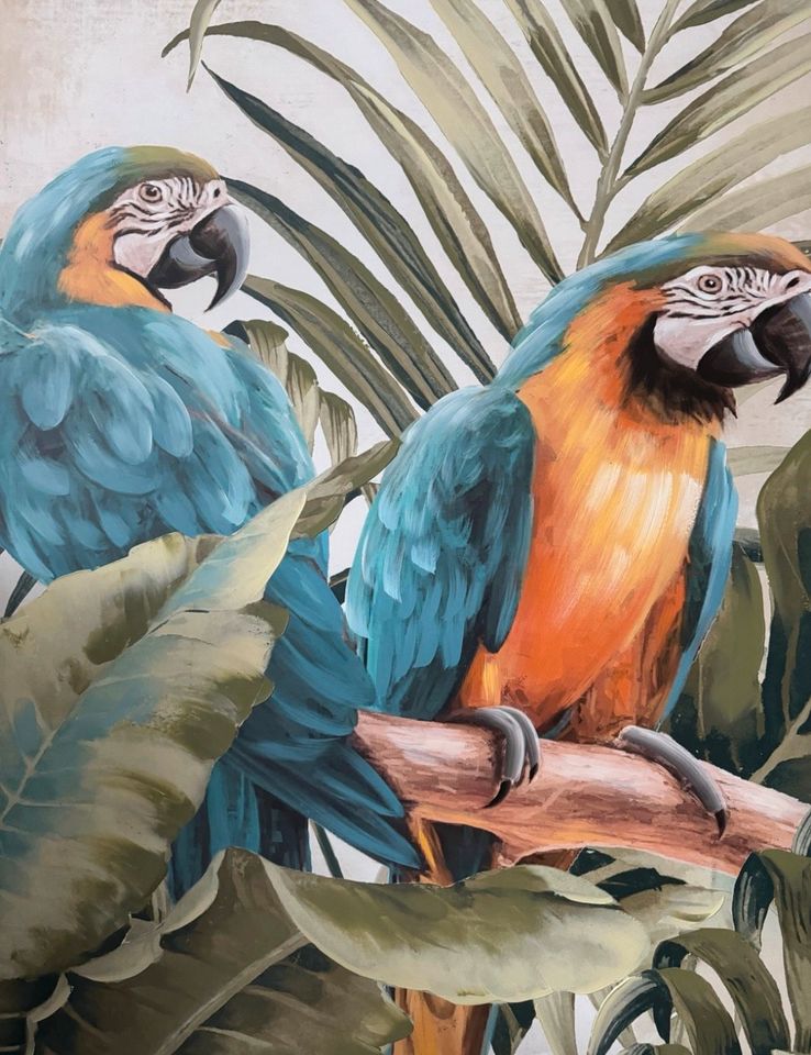2 große Wandbilder Wandbild Keilrahmen Papagei Dschungel Regenwal in Wismar
