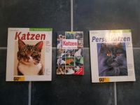 Drei Katzenbücher Brandenburg - Bad Freienwalde Vorschau