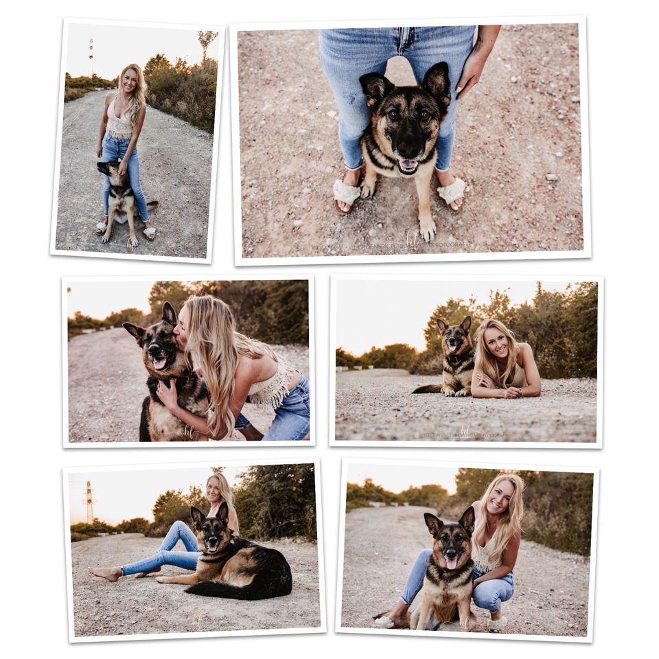 Hundeshooting/Fotoshooting/Vierbeiner in Lengede