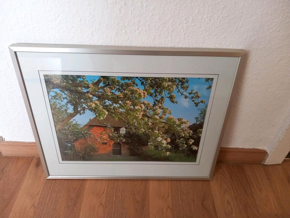 2 Bilderrahmen  50×40 aus Alu Bilder von Sylt in Greifswald
