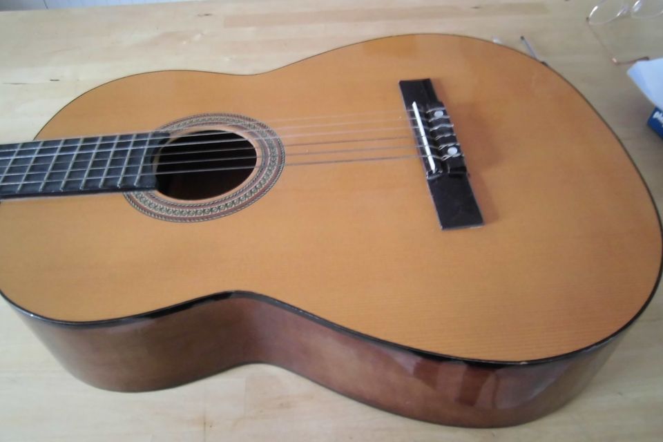 Sorretto Gitarre VC 12 mit Tasche in Preetz