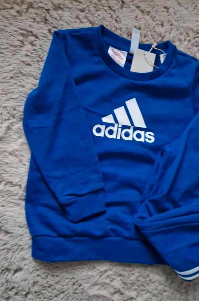 Adidas Kinderanzug Joggingsanzug Gr 98 blau Pullover mit Hose in Friedberg (Hessen)