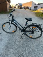 Pegasus Piazza 28 Zoll Damenfahrrad Bayern - Königsmoos Vorschau