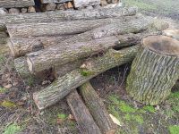 Säulen / Pfähle für Zaun aus Holz / Eiche Sachsen-Anhalt - Freyburg (Unstrut) Vorschau
