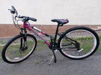 Fahrrad 29 Zoll Hessen - Borken Vorschau