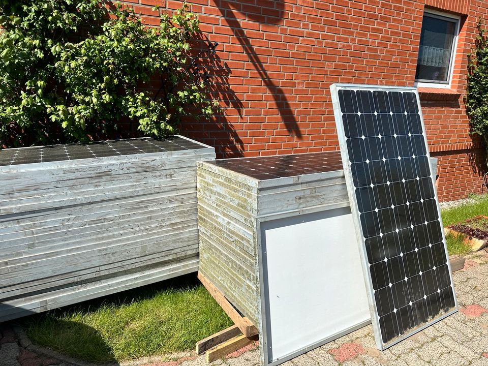 Gebrauchte Solara Solarmodule 200W in Schwerin