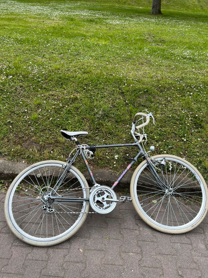 Fahrrad Alfira in Offenbach