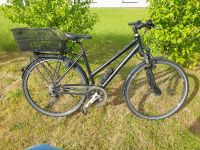 Damen Tracking Fahrrad STEVENS Primera Luxe 20" 50 cm Top-Zustand Frankfurt am Main - Bornheim Vorschau