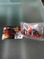 Lego Ninjago „Spinjitzu Kai“ Hessen - Ludwigsau Vorschau