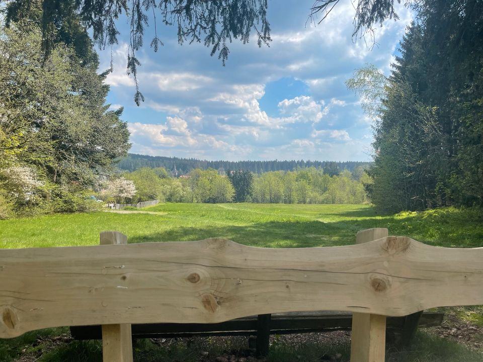 Ferienwohnung Hahnenklee im Harz 4Personen  mit Wlan und  Balkon in Stuhr