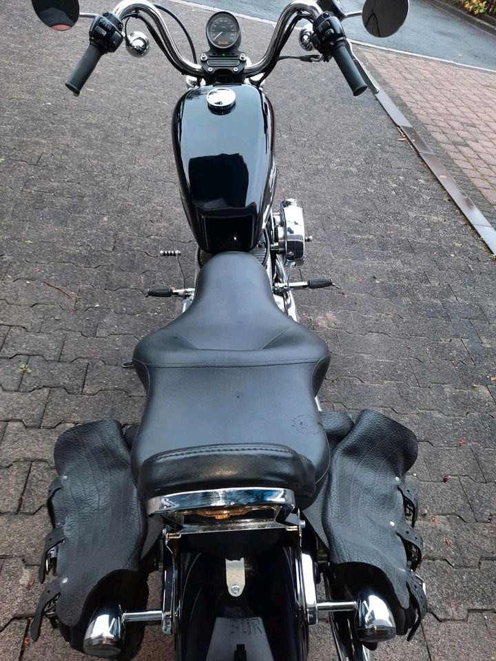 883 Harley Davidson sporty XL 2 in Büren