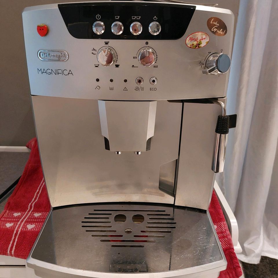 Delonghi Magnifica ESAM 04.110 in Stockstadt a. Main