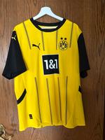 BVB Trikot authentic Nordrhein-Westfalen - Detmold Vorschau