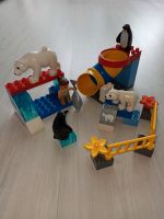Lego Duplo Set 5633 mit Punguinen und Eisbären. Kreis Pinneberg - Elmshorn Vorschau