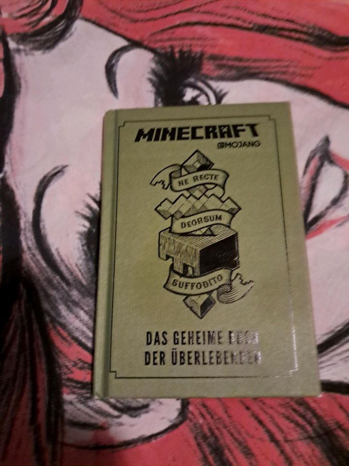 Minecraft - das geheime Buch der Überlebenden in Geislingen an der Steige