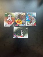 MLB Baseball Karten Bayern - Ahorn b. Coburg Vorschau