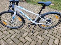 Kinderfahrrad GIANT ARX 24 Zoll Dresden - Niedersedlitz Vorschau