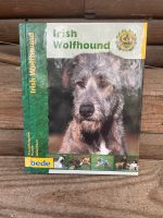 Irish Wolfhound Buch v.Alice Kane ,Neuzustand Niedersachsen - Ottersberg Vorschau