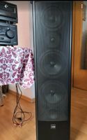Canton Nestor 702 Lautsprecher u. Pioneer Dolby Surround Receiver Hessen - Fritzlar Vorschau