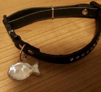 Halsband für Katze schwarz mit Steinchen Neu Aachen - Preuswald Vorschau