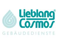 Reinigungskraft (m/w/d) in Karlsruhe Baden-Württemberg - Karlsruhe Vorschau