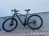 E-BIKE Focus Jam2 mit 2 Akkus HT L Hardtail 29“ cube bulls gaint Bayern - Oberasbach Vorschau