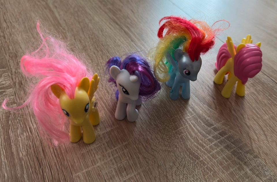 My little Pony in Suhl