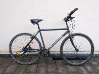 Fahrrad 28 Zoll Nordrhein-Westfalen - Erwitte Vorschau