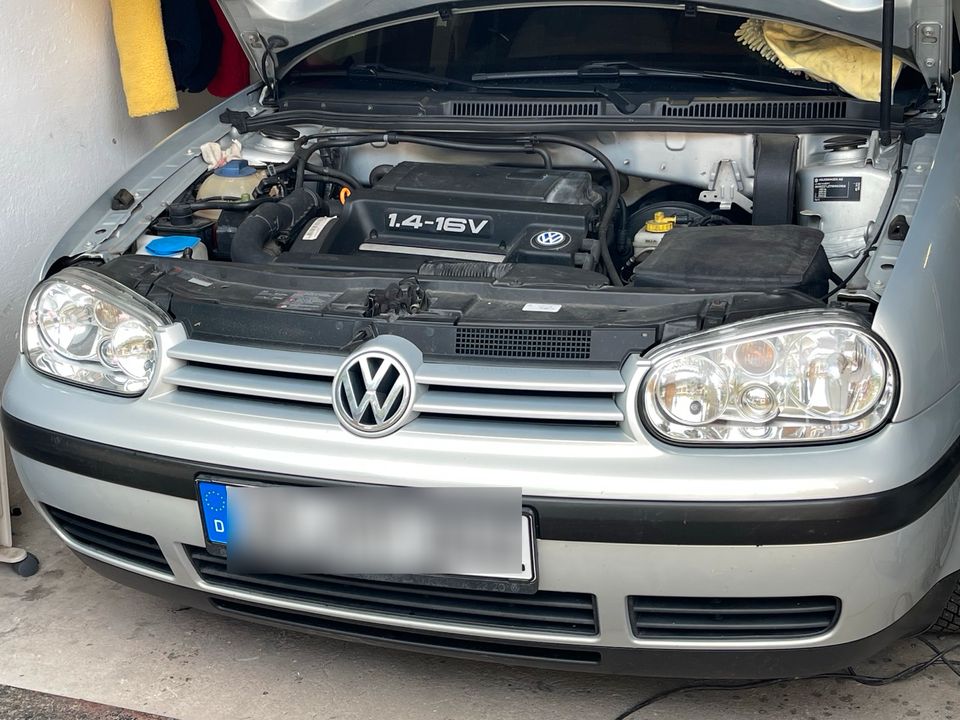 4 Golf 1.4 16V in Ilmenau