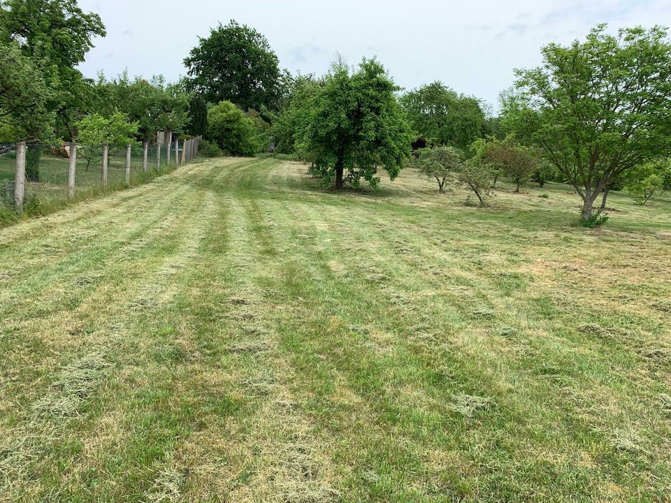 Hausmeisterdienste, Garten, Rasen, Baumpflege, Gala Bau in Worbis