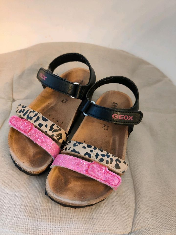 Geox Sandalen pink Leo gr. 25 in Neu-Isenburg