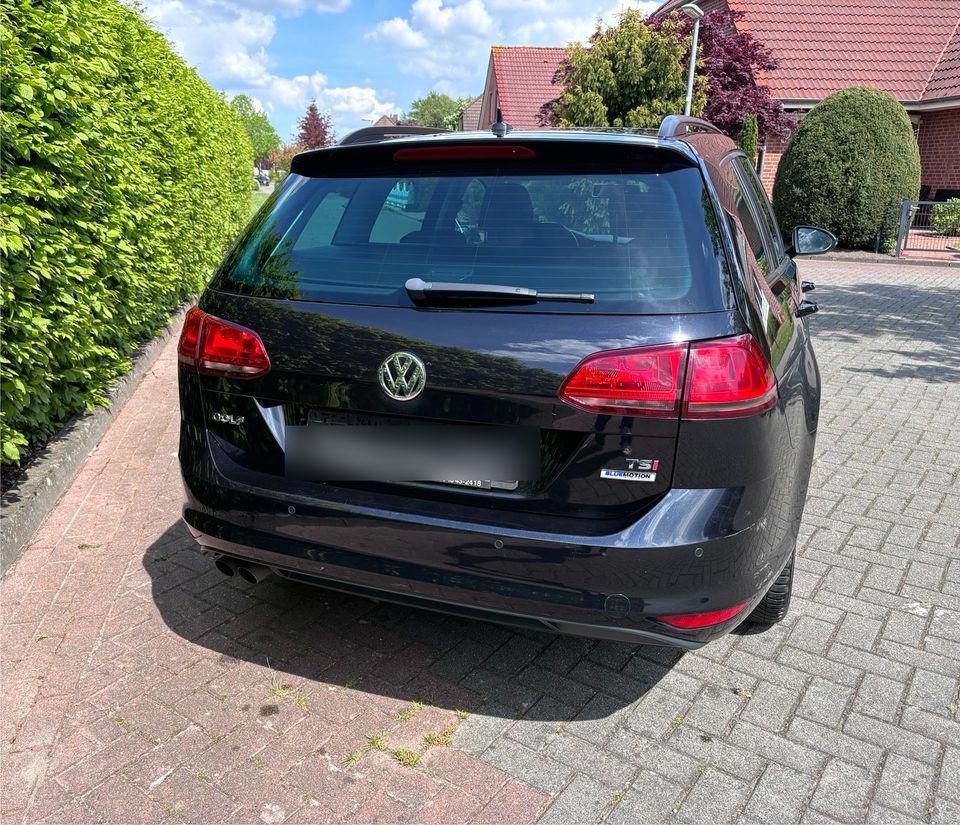 Volkswagen Golf Variant Cup 1.4 Benzin Panorama Automatik AHK in Norden