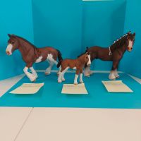 Schleich 13808 13809 13810 Clydesdale Wallach Stute Fohlen Top Bielefeld - Senne Vorschau