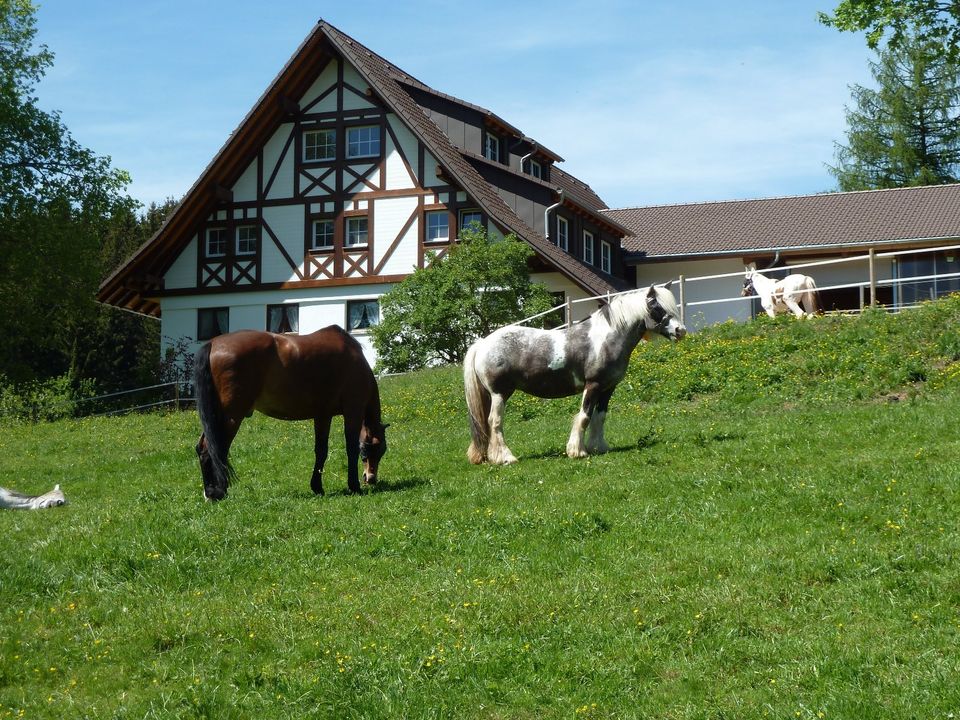 Wohnen beim eigenen Pferd in Titisee-Neustadt