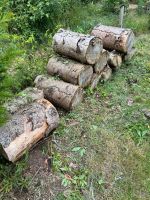 Holz Fichte Stammholz Kamin Schleswig-Holstein - Norderstedt Vorschau